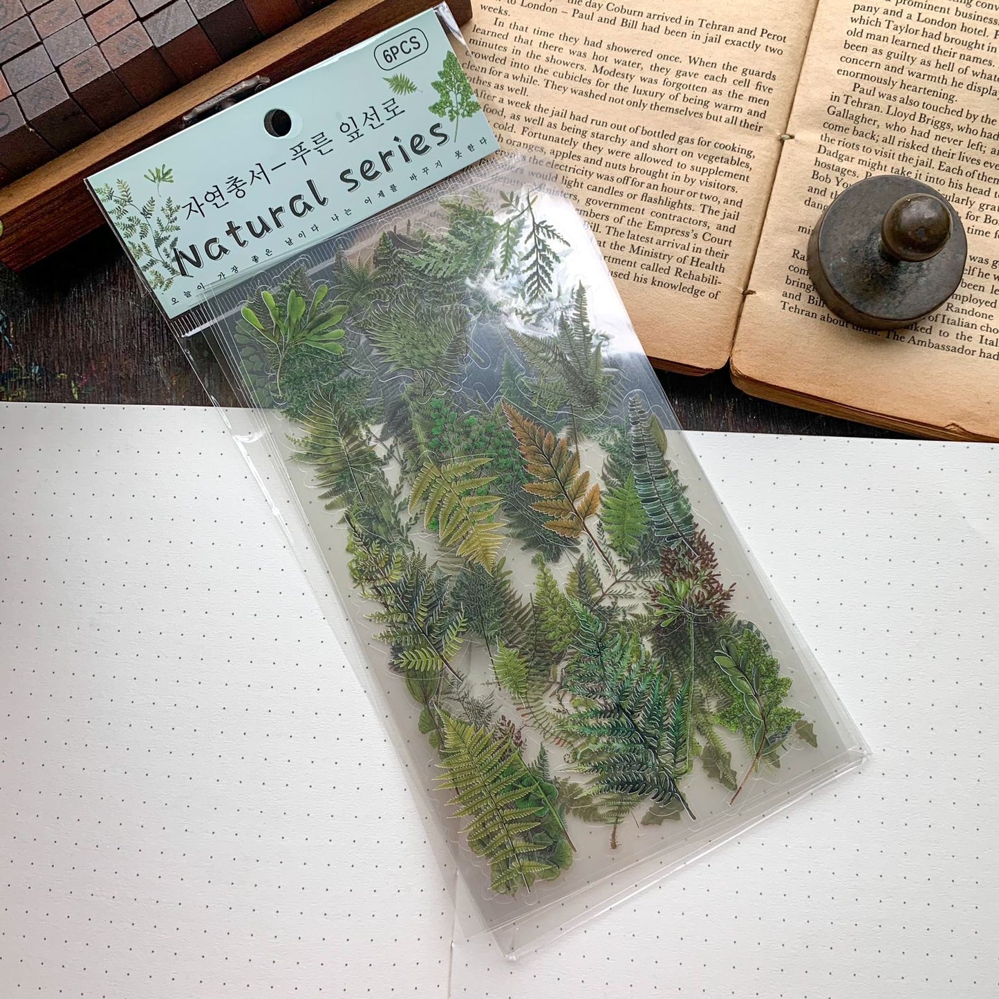Zrcs803|G-3| PET Journal Sticker | Transparent Sticker - 6 sheet