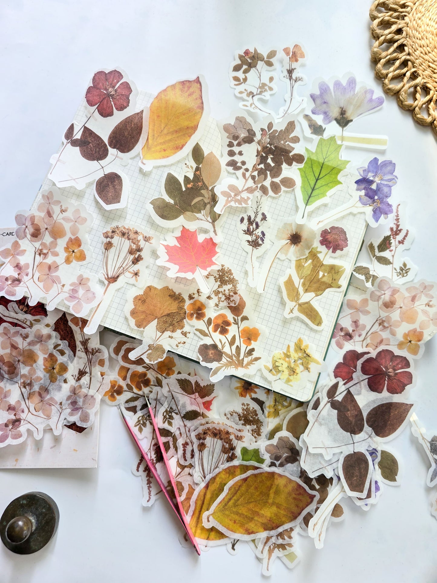 MMK06B051 NATURAL flower COLLECTION DECO STICKER 60 PC