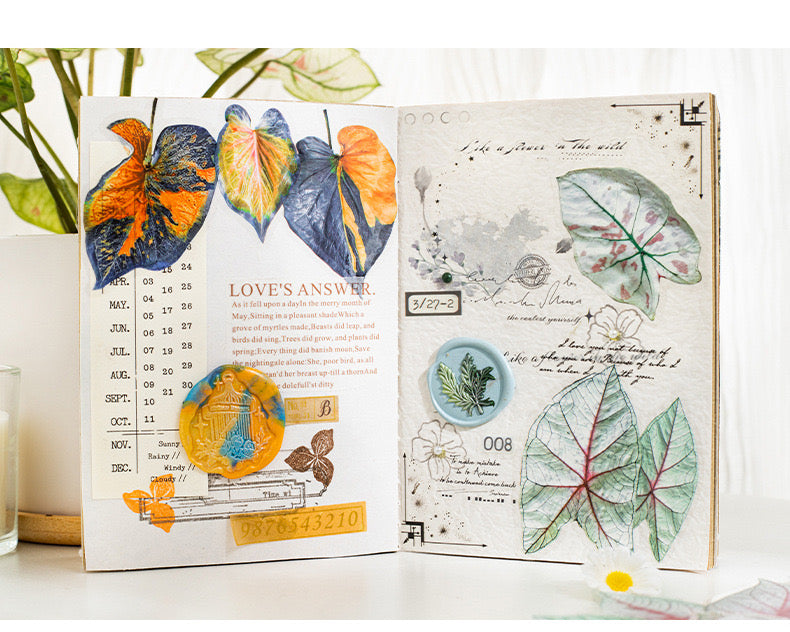 Cyyj004|G-3| PET Sticker | Caladium Bicolor | 30 pcs