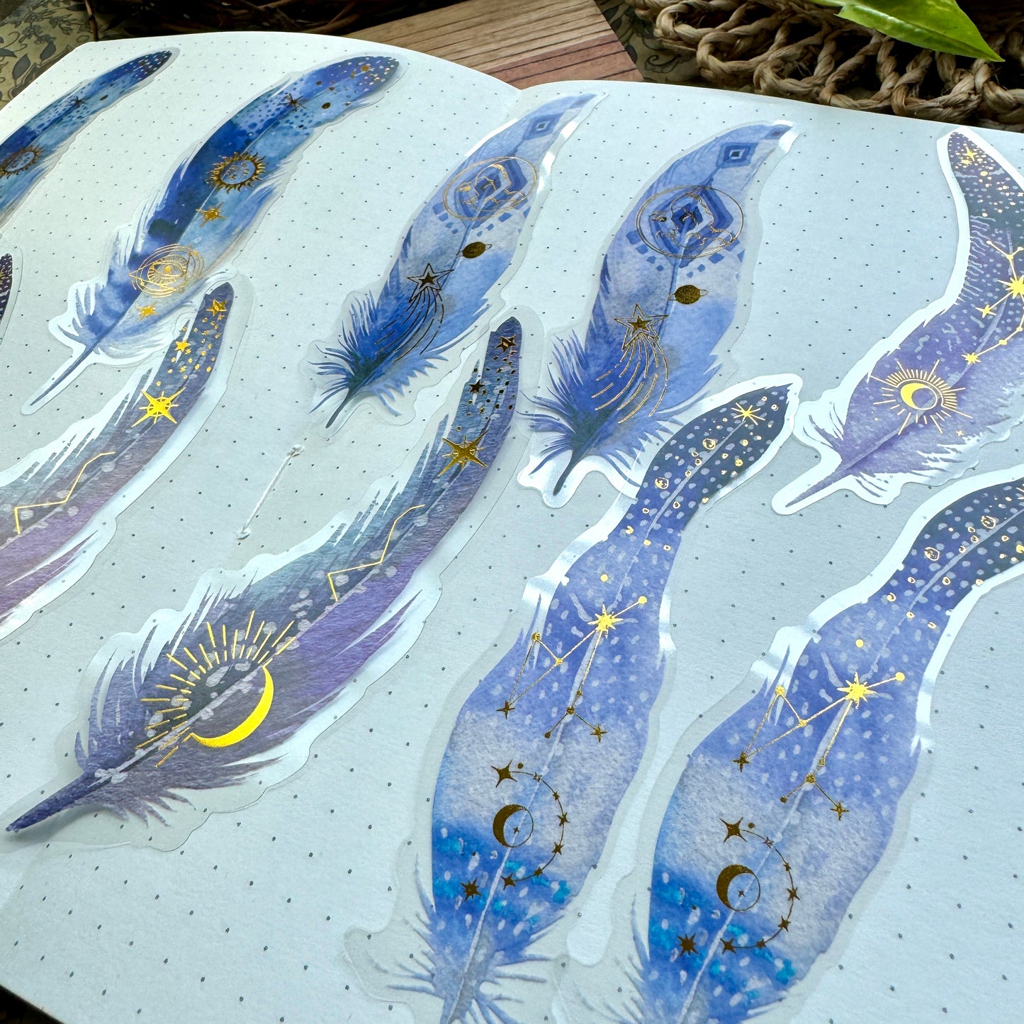 Tz2207zzr -f Transparent Pet sticker  foil Feather collection Big | 10 pc