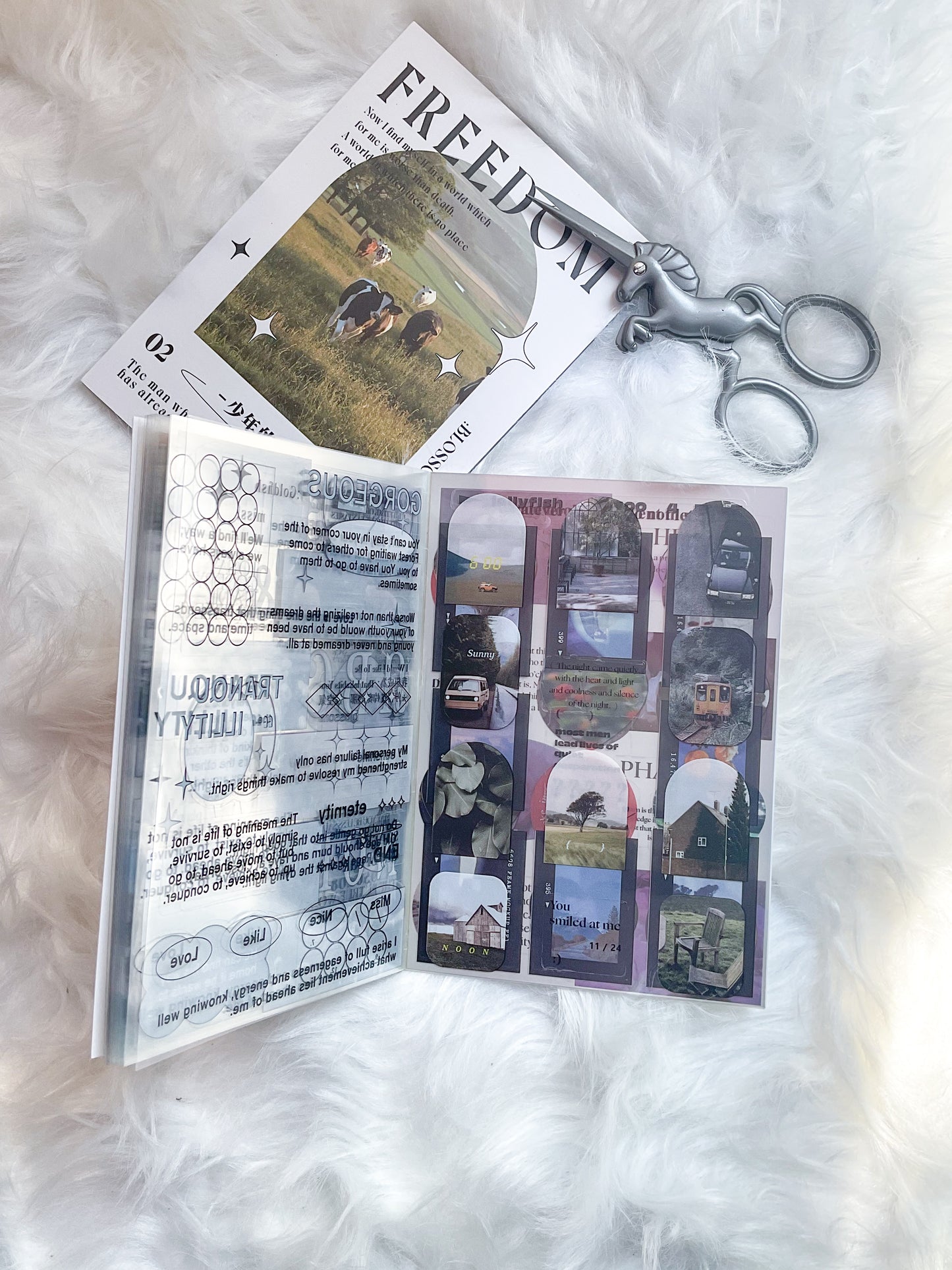 BJB-6431 Lifestyle Sticker| Daily Sticker Book| FREEDOM| Transparent Pet Sticker 20 Pcs