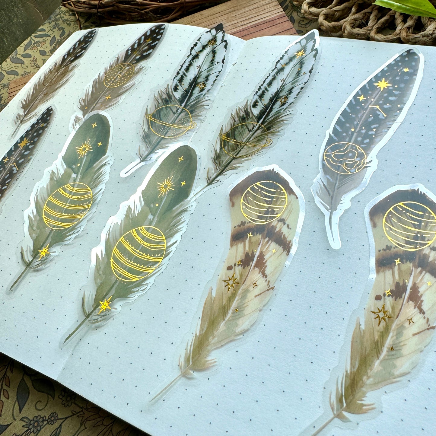 Tz2207zzr -g Transparent Pet sticker  foil Feather collection Big | 10 pc
