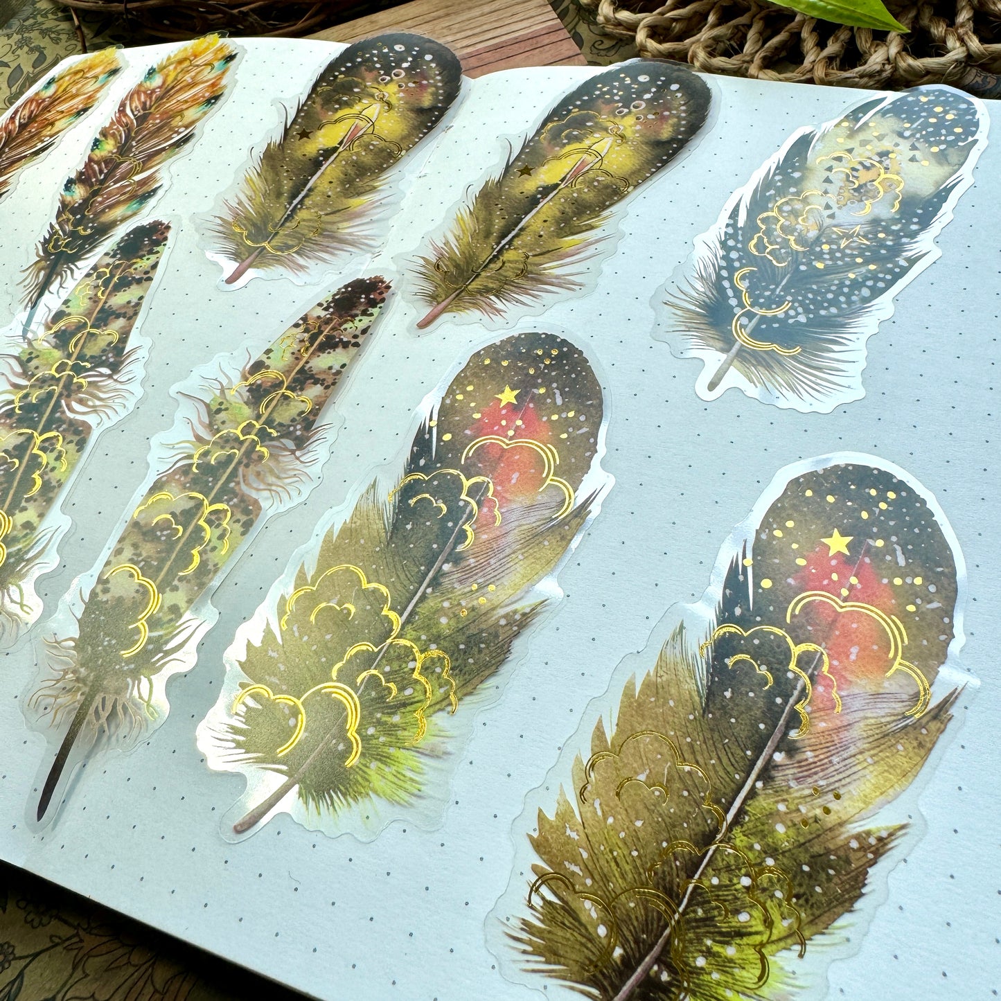 Tz2207zzr -c Transparent Pet sticker  foil Feather collection Big | 10 pc