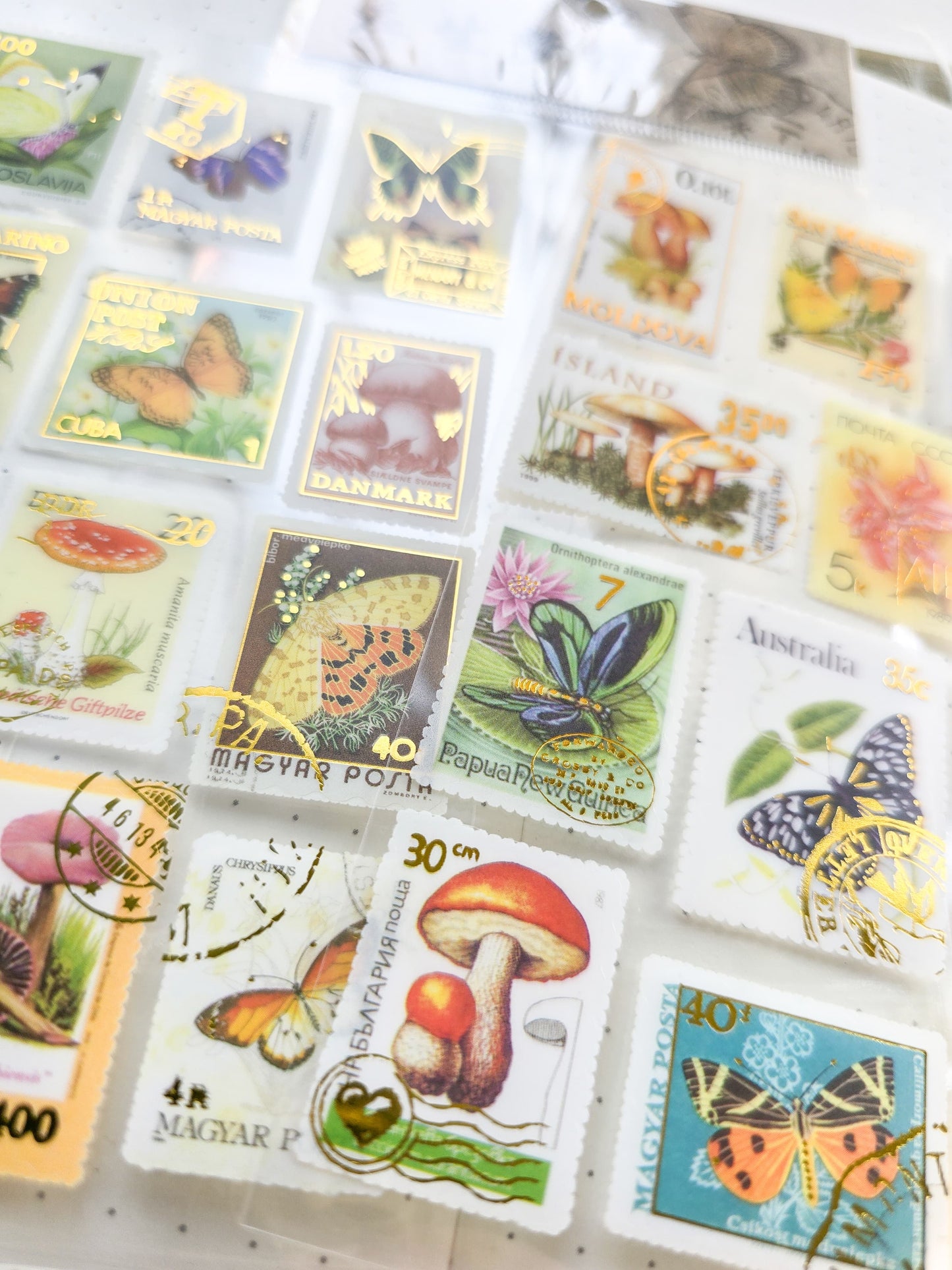 Jsnh401|G-9| Dream Butterfly  Stamp Sticker Pet Sticker | Set of 2 90*35mm