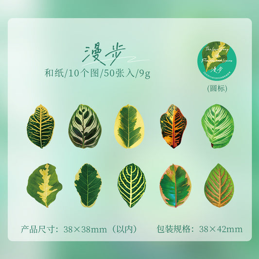 Lfhy005 Leaf Paper roll Sticker | 38*38mm