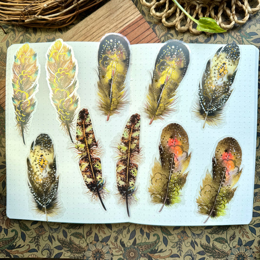 Tz2207zzr -c Transparent Pet sticker  foil Feather collection Big | 10 pc