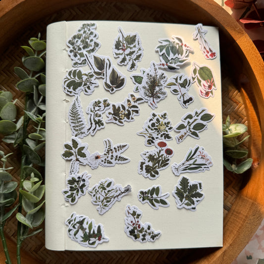 TZ2306CCK -d Diy Journal Sticker 50Pcs