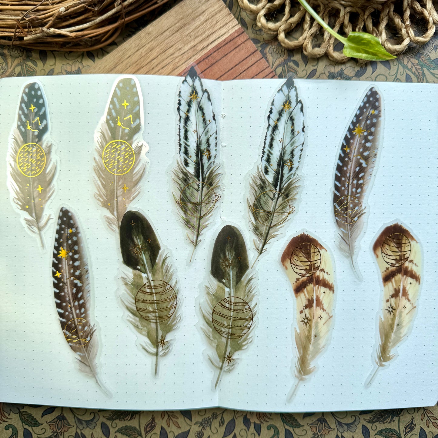Tz2207zzr -g Transparent Pet sticker  foil Feather collection Big | 10 pc