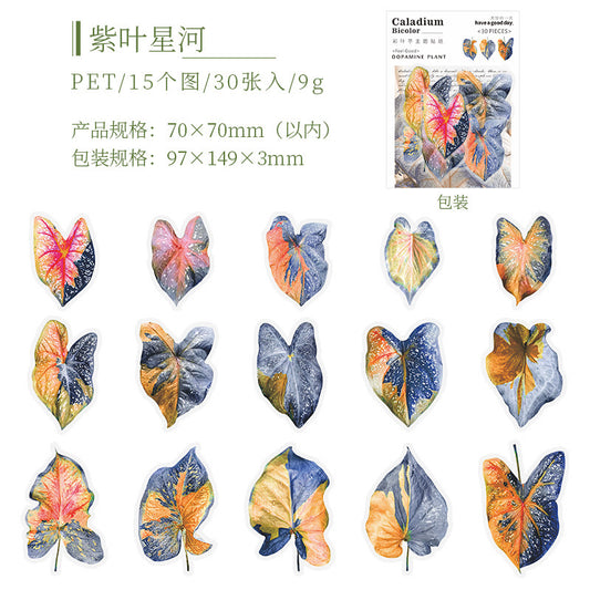 Cyyj004|G-3| PET Sticker | Caladium Bicolor | 30 pcs