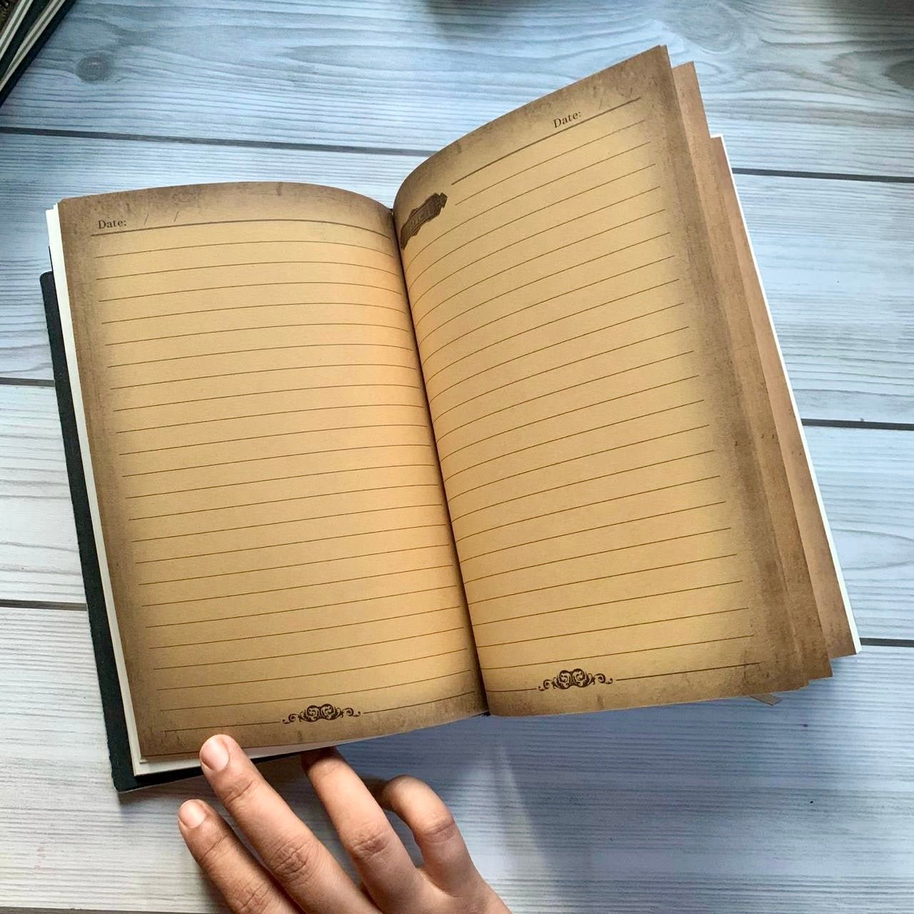 Bird with stone Premium Notebook | Diary |  copper
