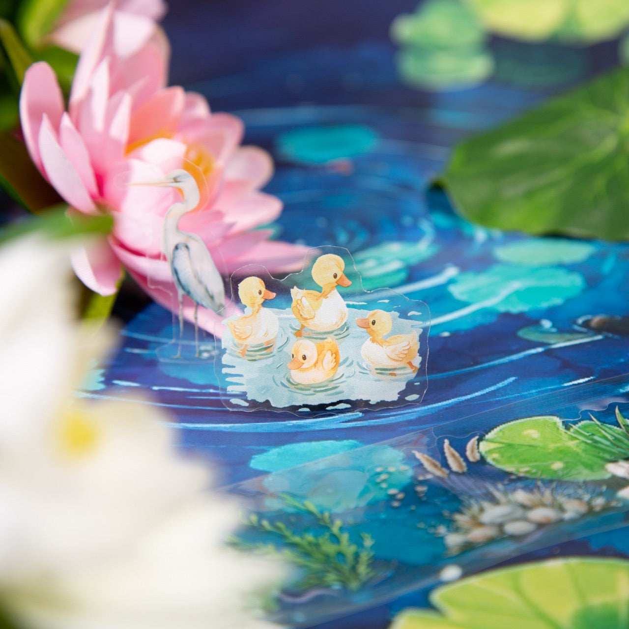 Cxly004|RC| Early Summer Ripples Sticker roll Pet Sticker | 50mm*2m |