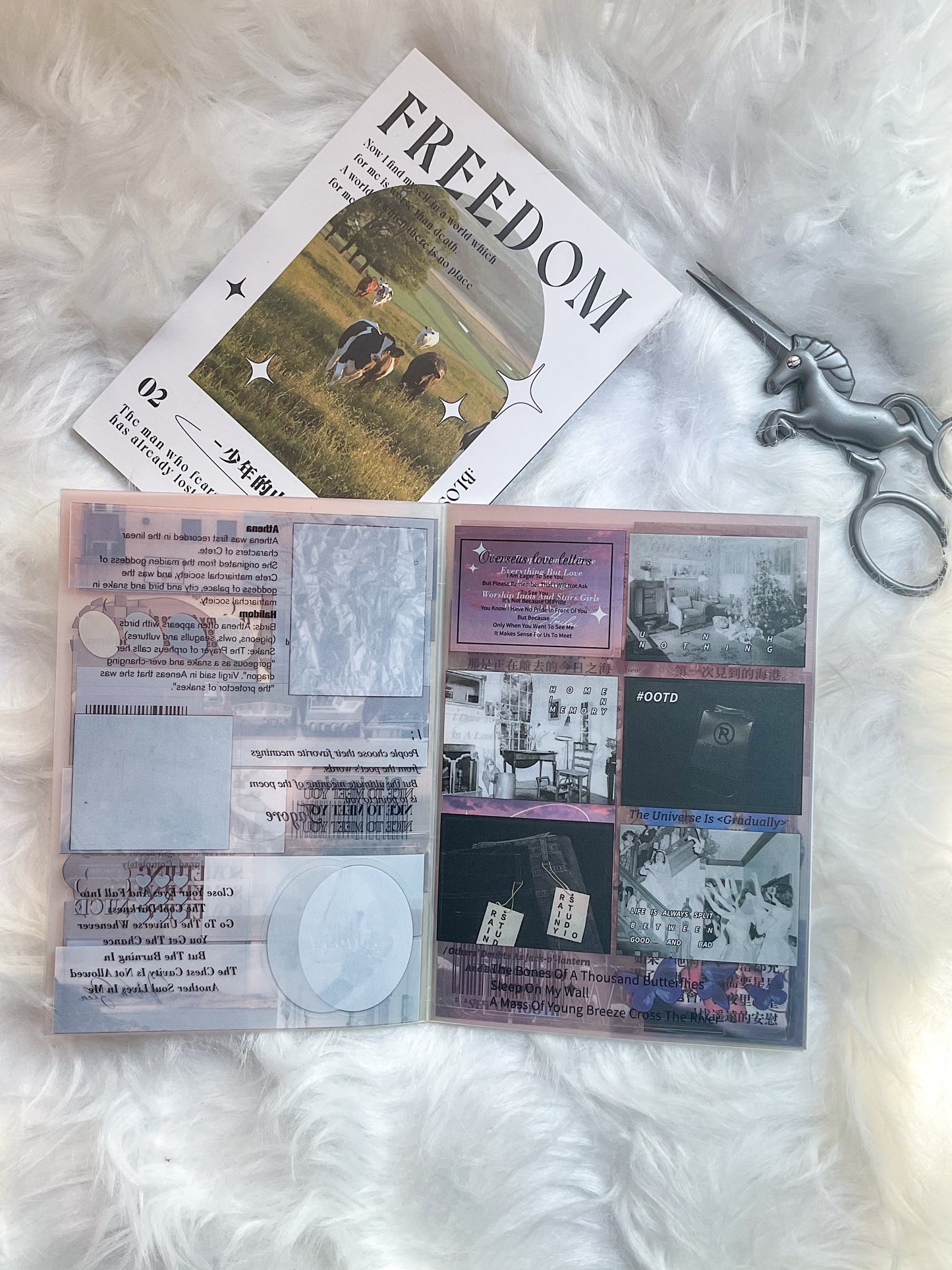 BJB-6431 Lifestyle Sticker| Daily Sticker Book| FREEDOM| Transparent Pet Sticker 20 Pcs