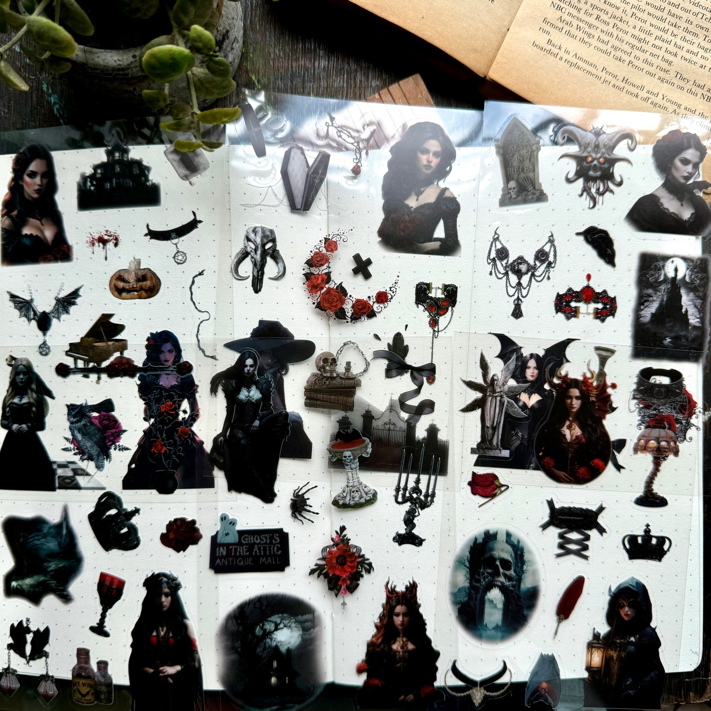Atltb - 403 PET  Journal Pet Sticker goth   - 6 sheets