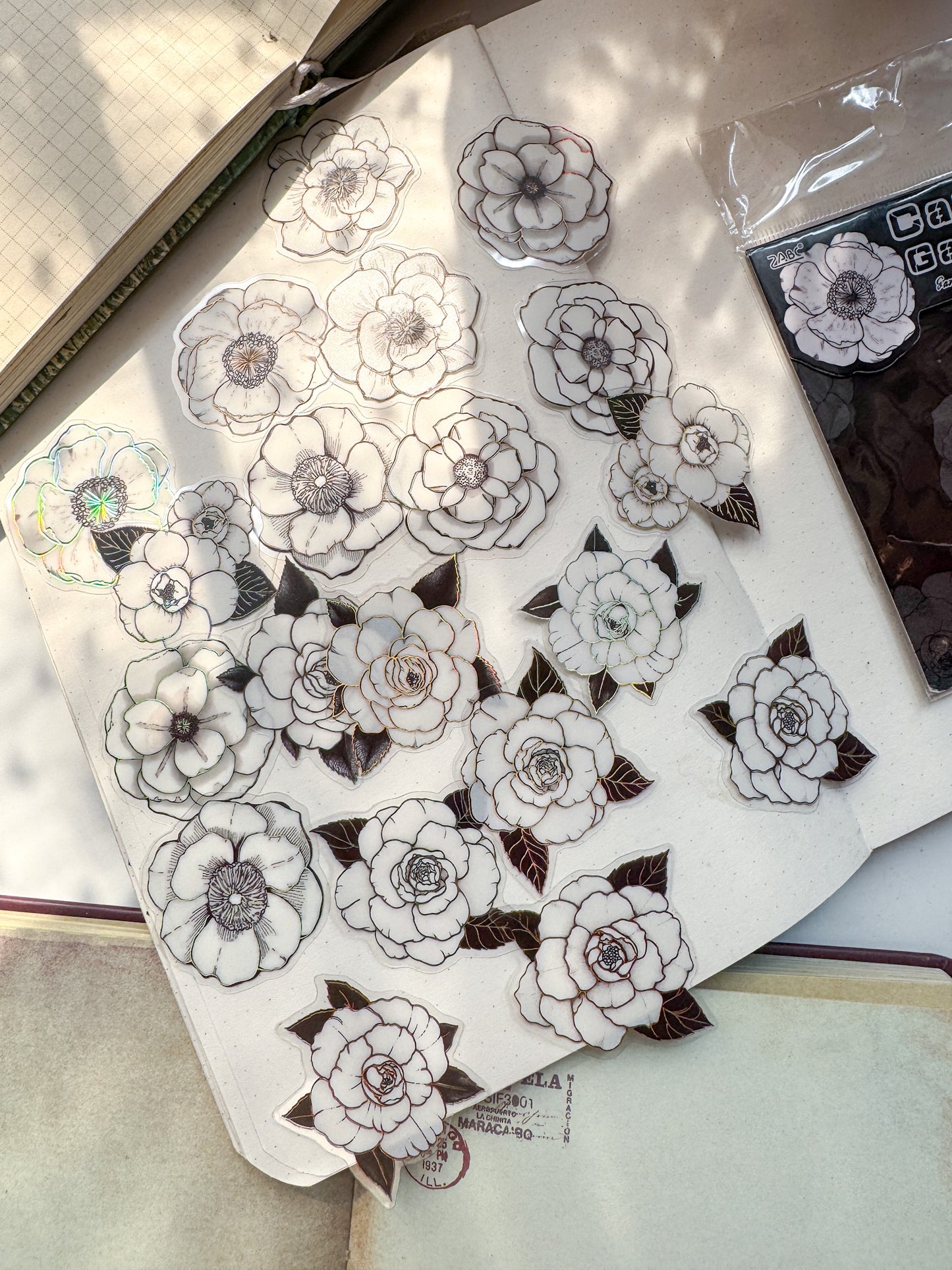Hxmy-606 |G-3|Daisy Camellia Garden Holographic Transparent Flower Sticker | 20 pcs