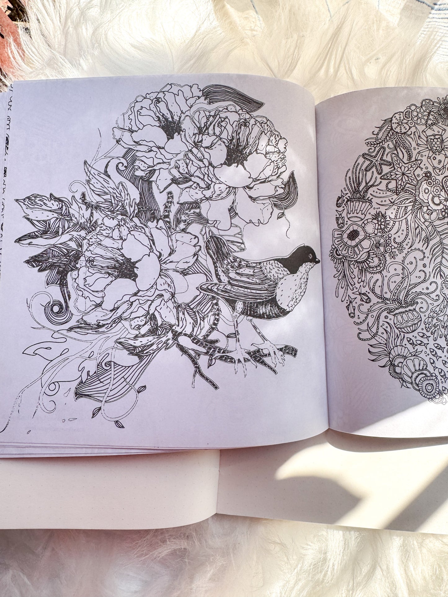 The Enchanted Forest Coloring Canvas Line Drawn Book | 24 pics Random Design