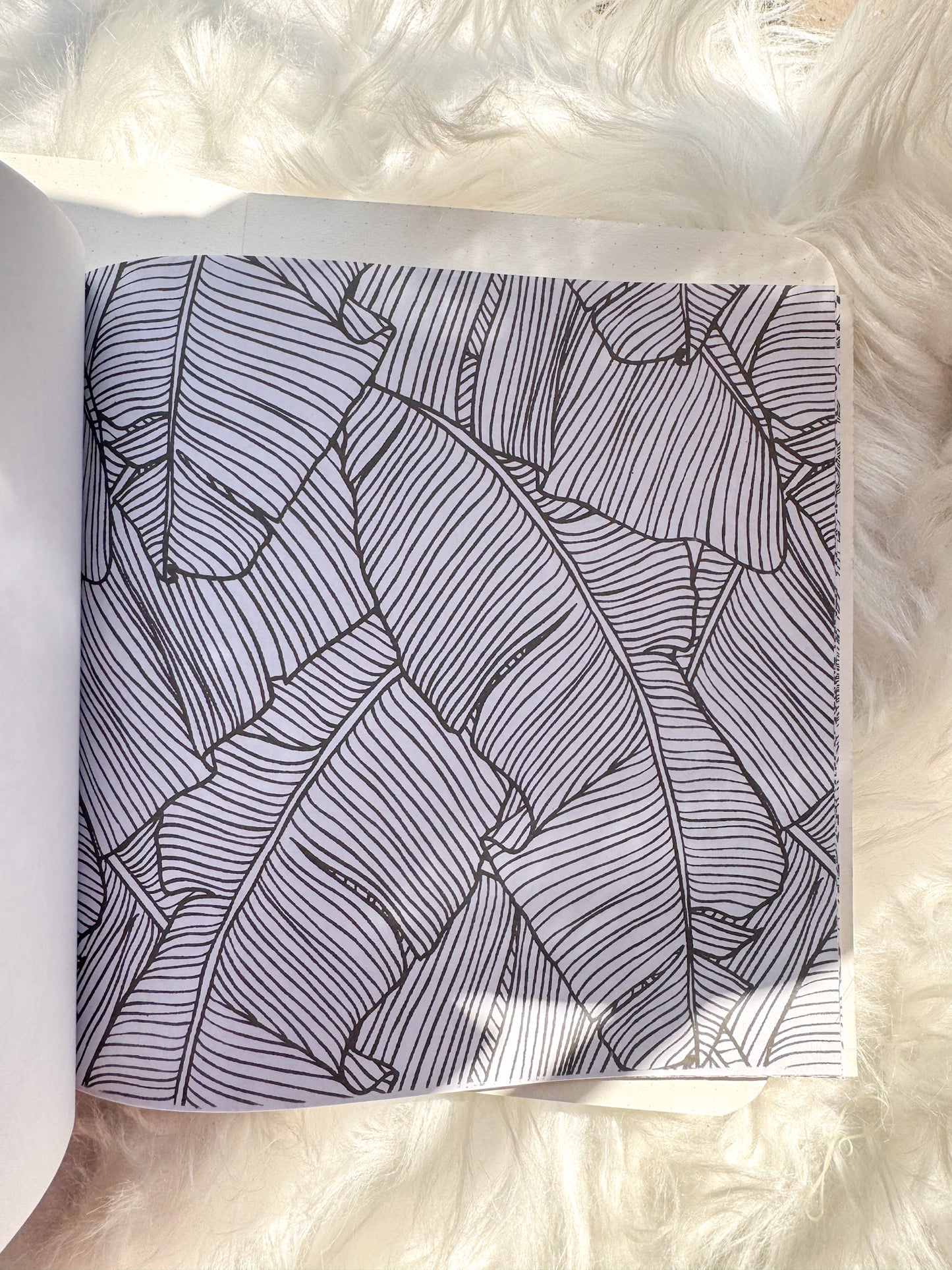 The Enchanted Forest Coloring Canvas Line Drawn Book | 24 pics Random Design