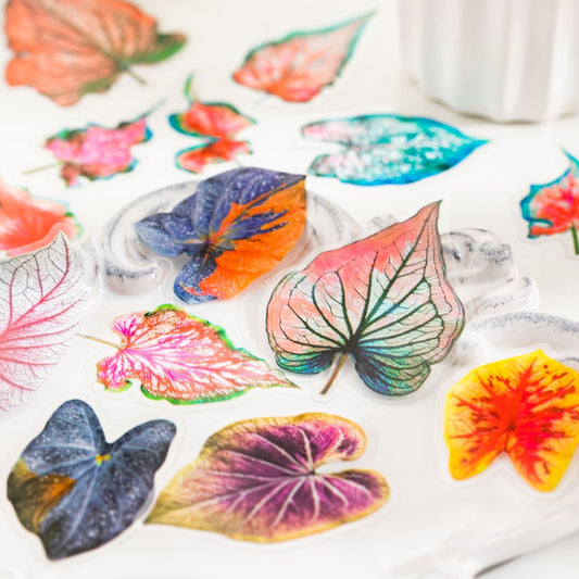Cyyj004|G-3| PET Sticker | Caladium Bicolor | 30 pcs