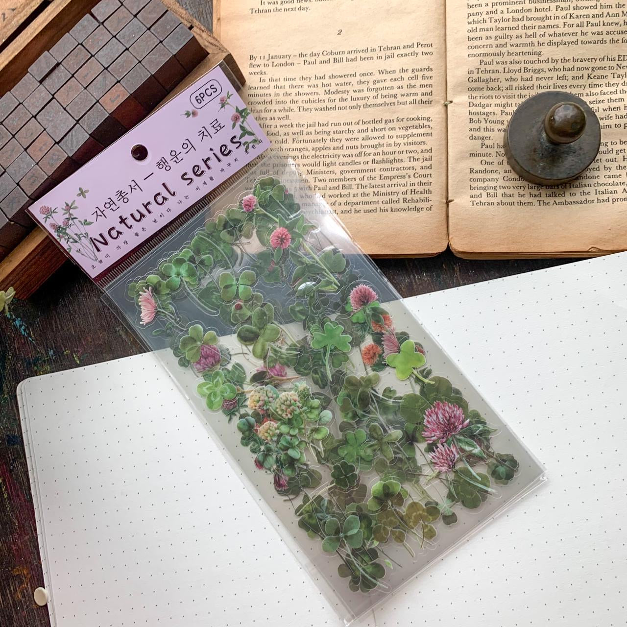 Zrcs 802|G3| PET Journal Sticker | Transparent Sticker - 6 sheet