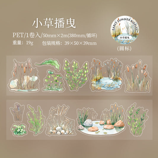Cxly004|RC| Early Summer Ripples Sticker roll Pet Sticker | 50mm*2m |