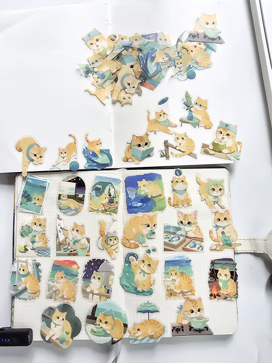 XMJR-606 | Sea cat PET Cat STICKER |60pcs Sticker | 50*50mm