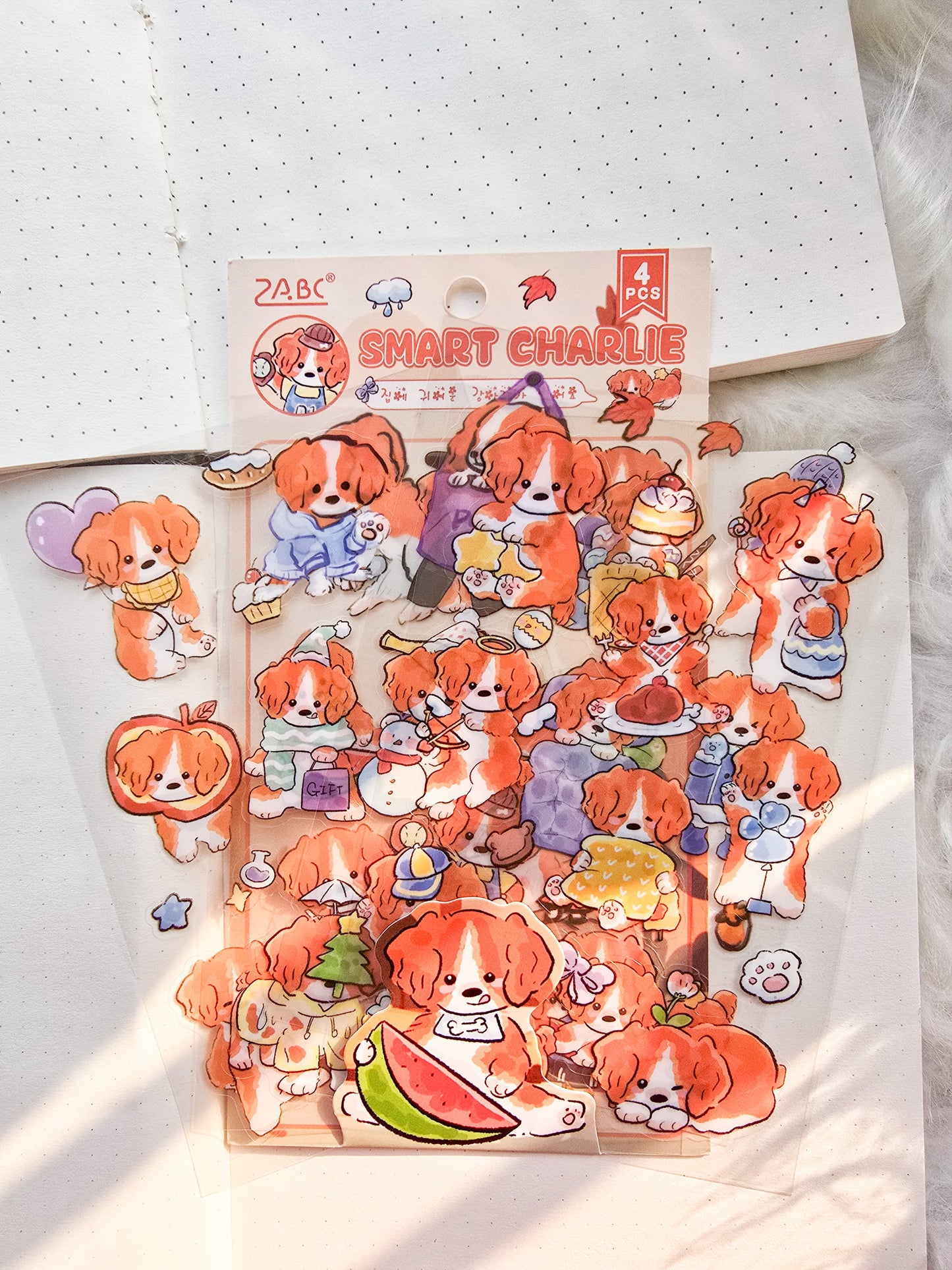 JYMQ-6-02 | Smart Charlie | PET | Transparent Sticker| 4 Sheets |