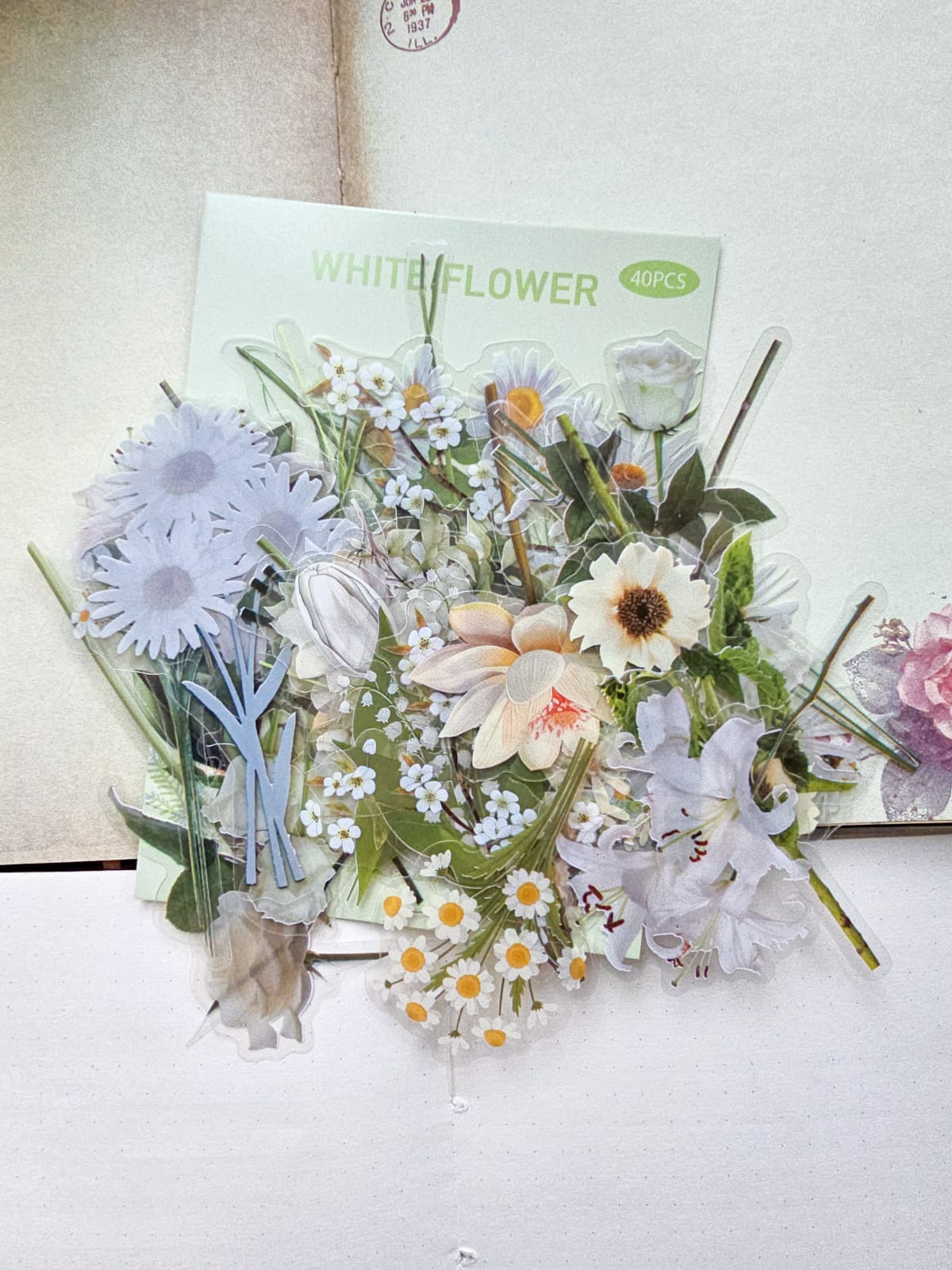 B70|G-3| Pet Floral Sticker | 40PCS