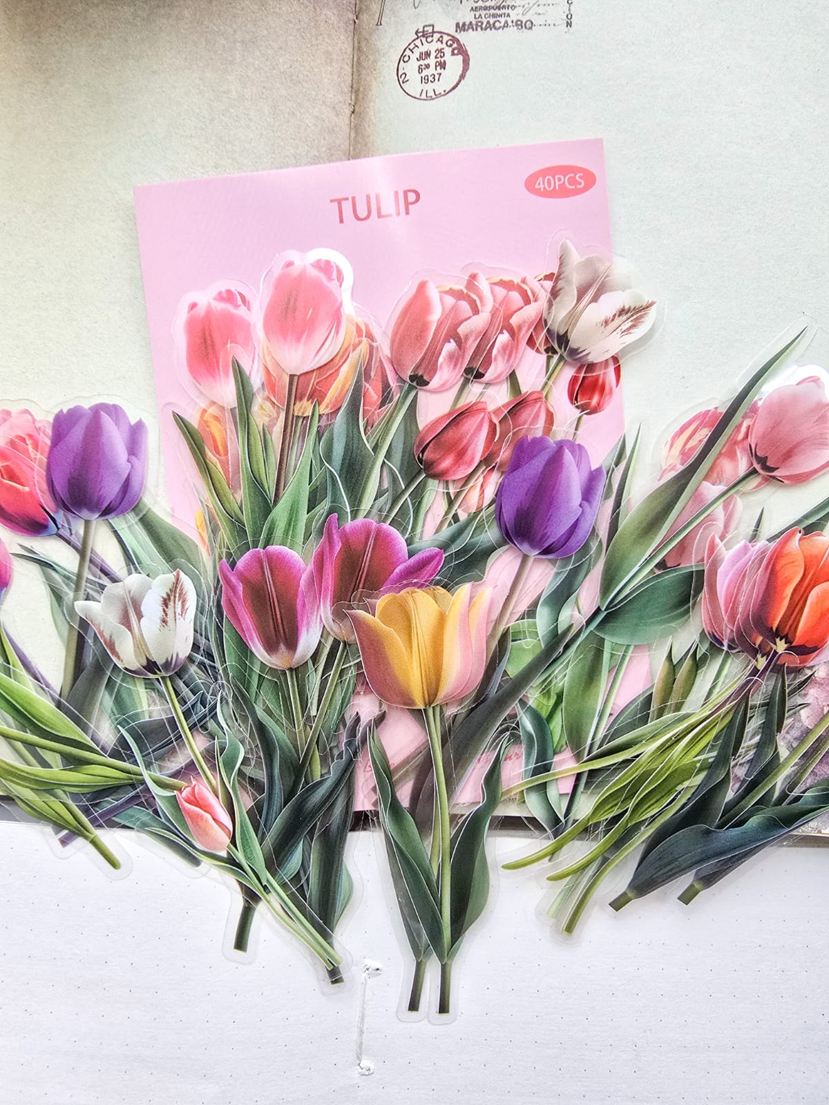 B70|G-3| Pet Floral Sticker | 40PCS