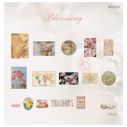 SC027E - Vintage Collection 30 Pcs