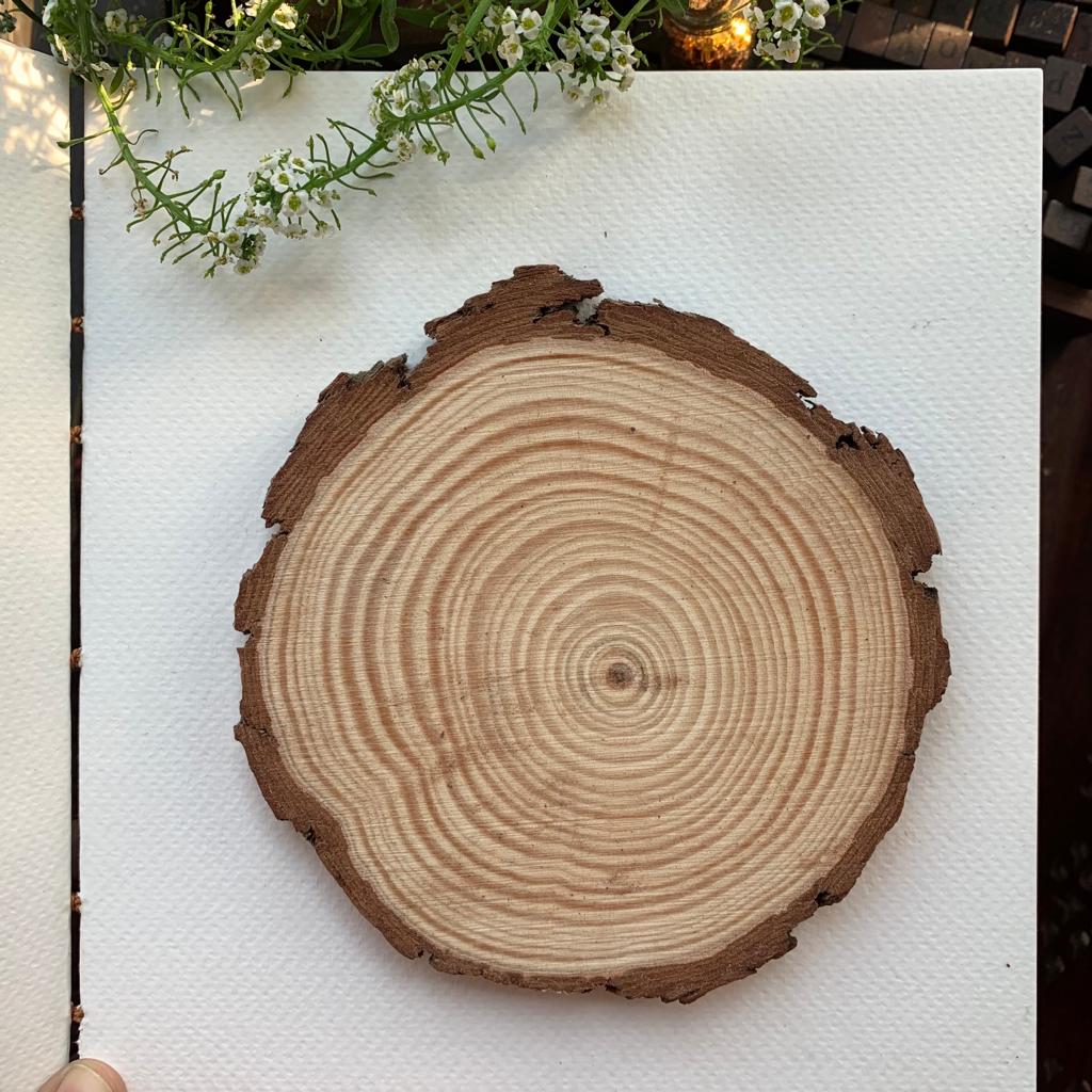 WSR1213 - WOODEN SLICE ROUND 12-13X1CM